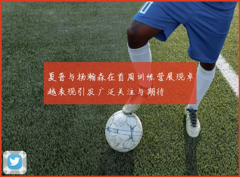 夏普与杨瀚森在首周训练营展现卓越表现引发广泛关注与期待