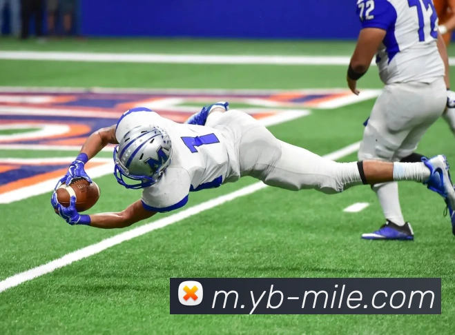 米乐体育平台生态图