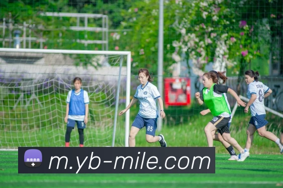 米乐体育APP 封面图