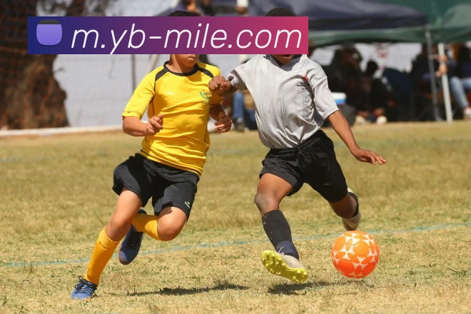 数据防护可视化